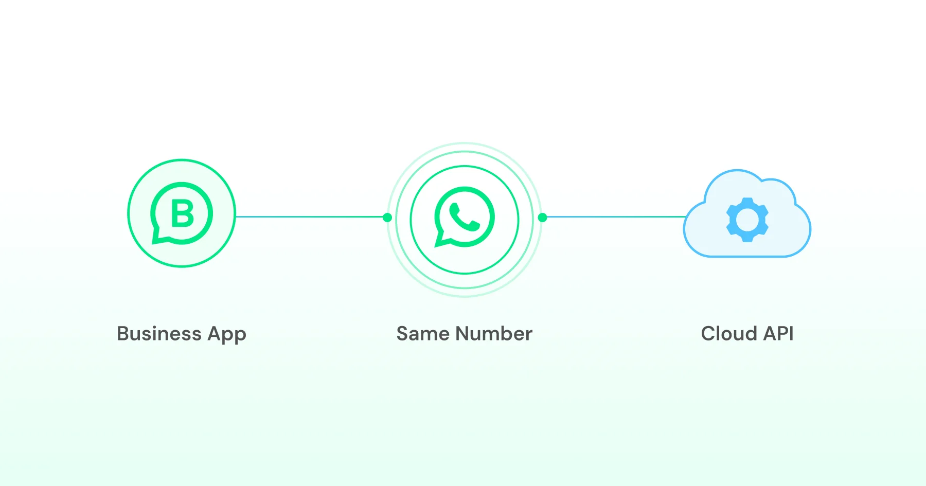 Using WhatsApp Business & API via the same number