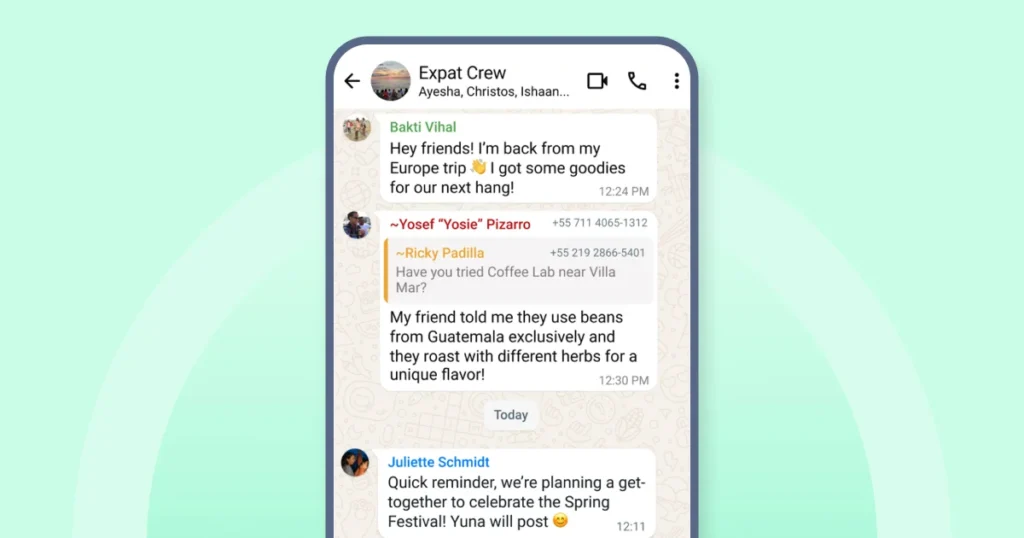 WhatsApp group details and members' chats