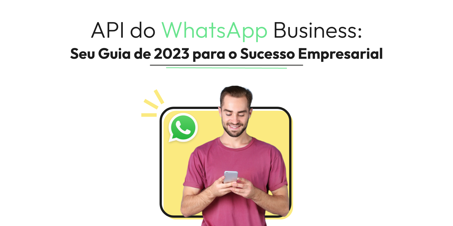 API do WhatsApp Business: Seu Guia de 2024 para o Sucesso Empresarial