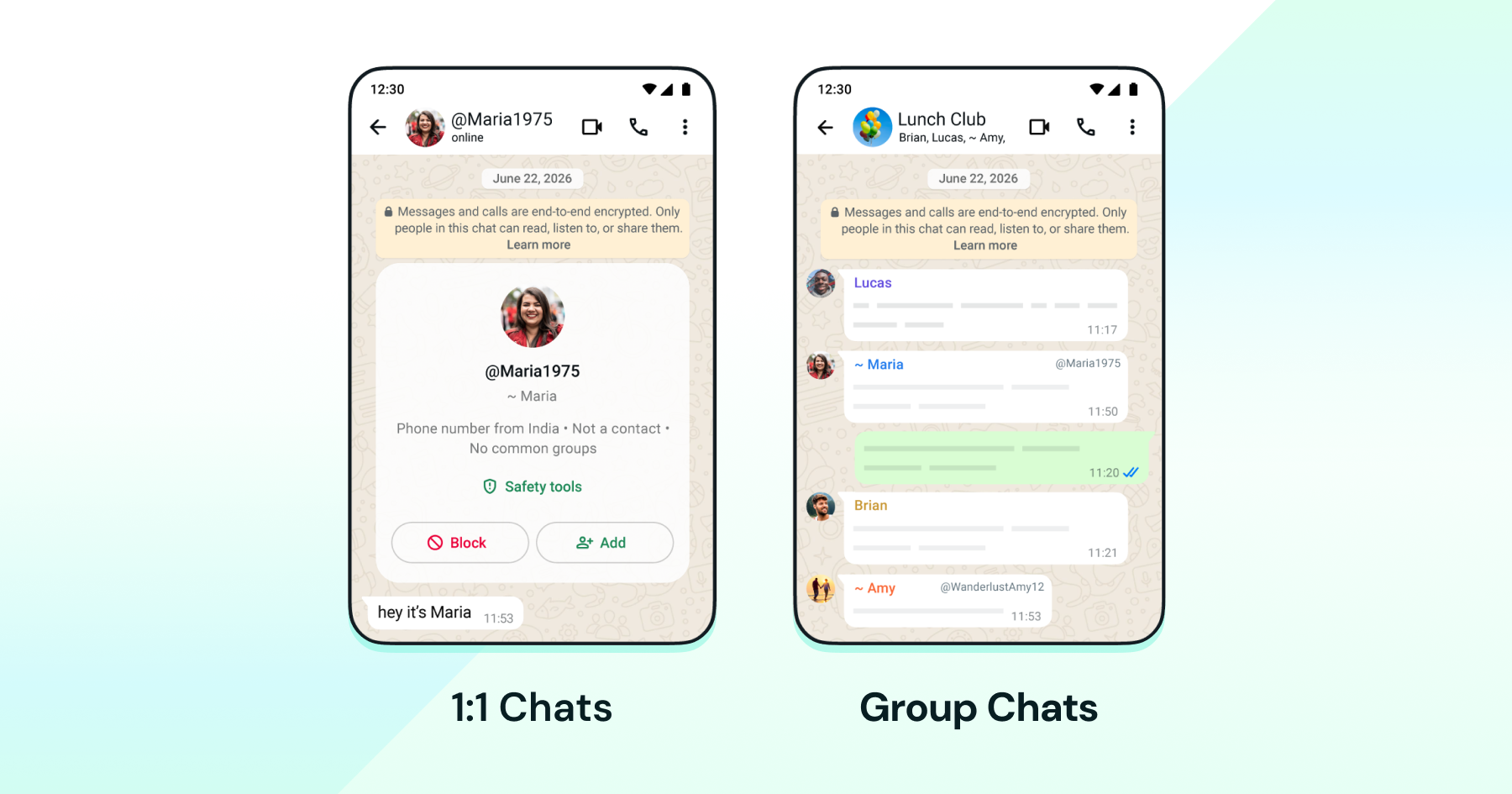 WhatsApp Business Username in 1:1 and group chats.