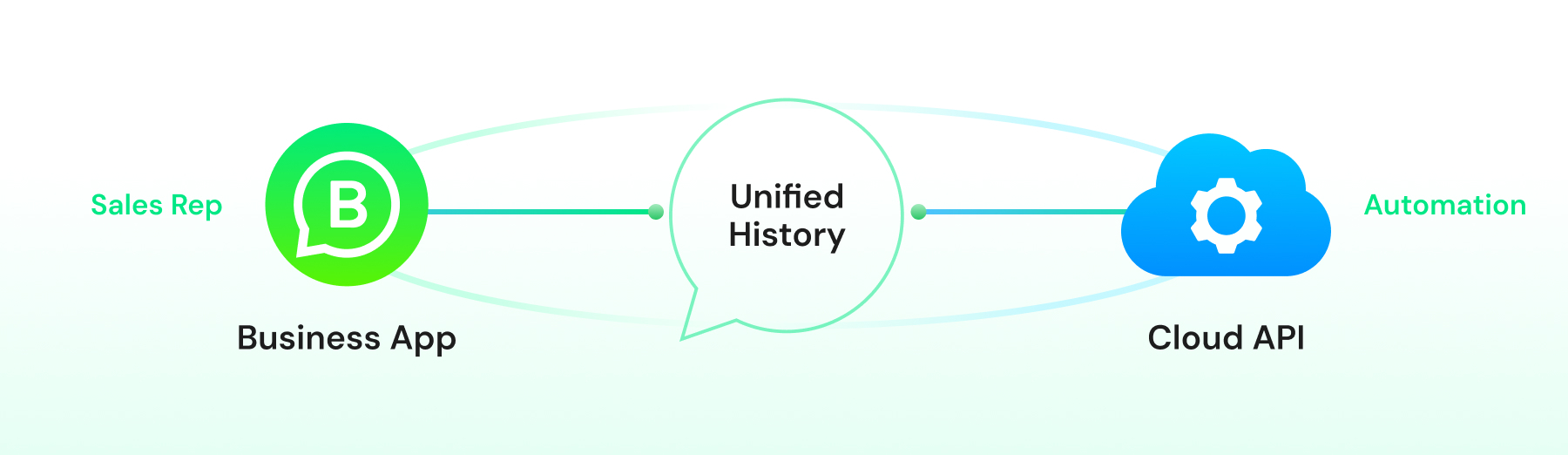 WhatsApp Business App and Cloud API coexistence sharing a unified chat history between sales reps and automation.