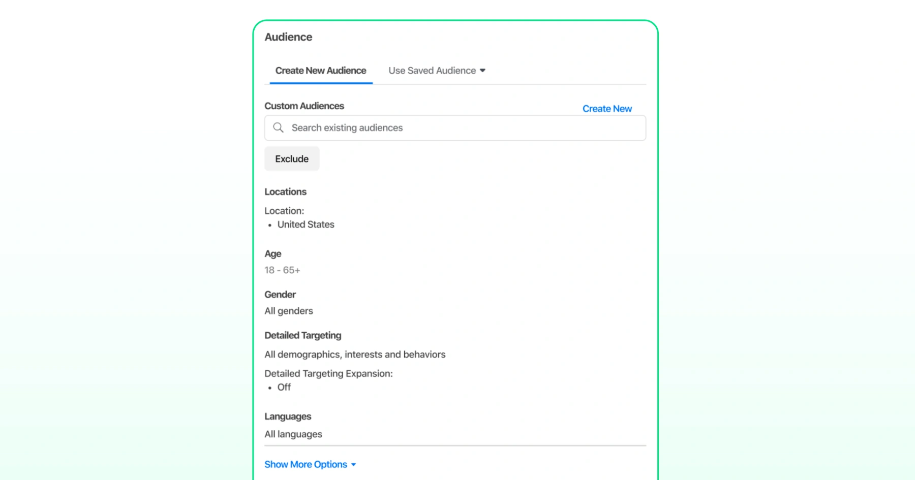 Meta Ads Manager audience settings showing location, age, gender, detailed targeting, and language options