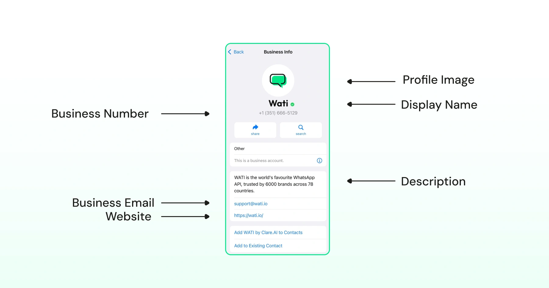 WhatsApp Business profile showing the business number, profile image, display name, description, email, and website