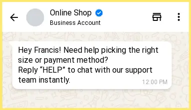 WhatsApp chat example where a customer is invited to reply “HELP” for assistance with size or payment options.