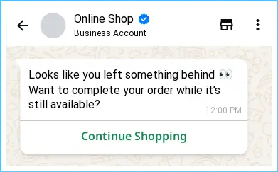WhatsApp Business chat reminding a customer about an incomplete order with a “Continue Shopping” button.