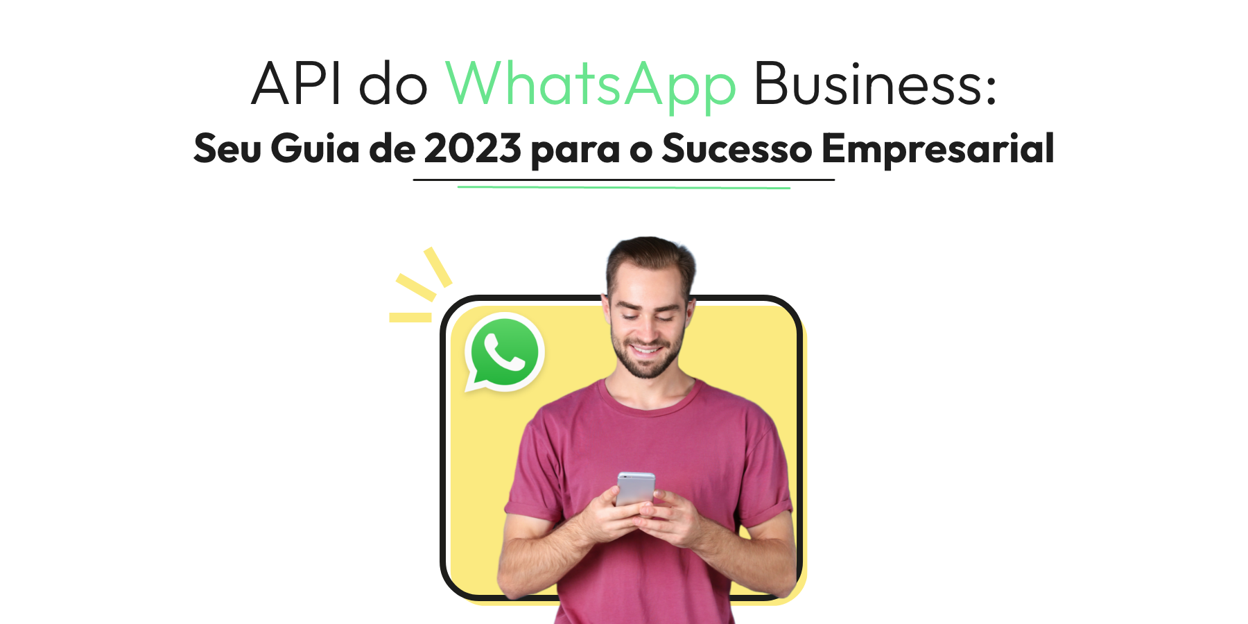 WhatsApp Business API: Tudo o que Você Precisa Saber