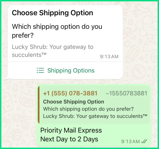 A WhatsApp chat showing an interactive list message asking the user to choose a shipping option, with the response “Priority Mail Express – Next Day to 2 Days,” demonstrating how businesses collect preferences using WhatsApp List Messages.
