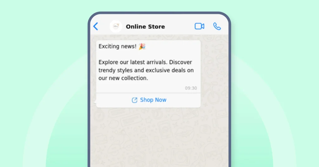 collection updates from a fashion brand