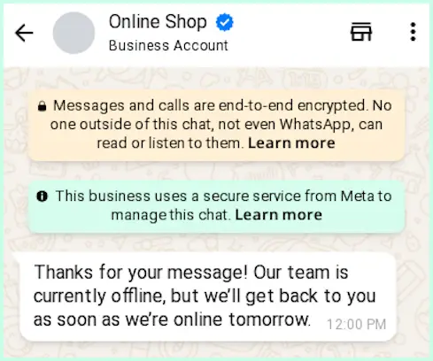 WhatsApp Business chat showing an away message from an online shop letting the customer know the team will reply when back online.