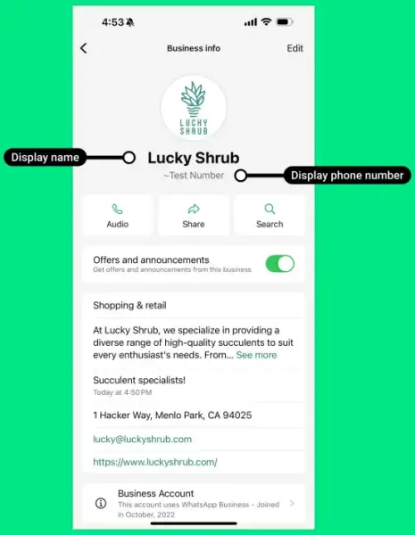 WhatsApp Business profile screen showing a sample business called Lucky Shrub, highlighting where the display name and business phone number appear.